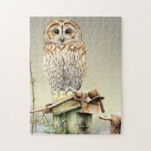 Winter tawny uil vogel legpuzzel