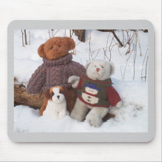 Winter Teddy Brothers met pup Muismat