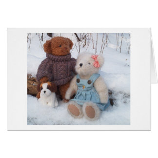 Winter Teddy Couple met puppy