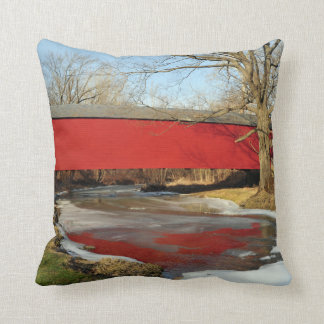 Winter Thaw American MoJo Pillow Kussen