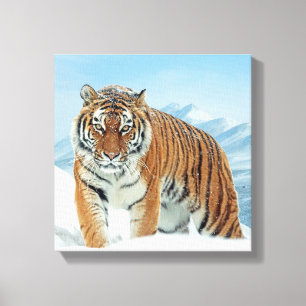 Winter Tiger Snow Mountains Natuur Photo Canvas Afdruk