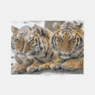 Winter Tigers Cuddle in Snow Fleece Deken