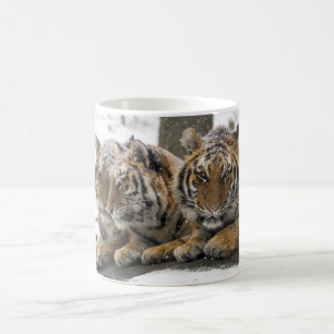 Winter Tigers Cuddle in Snow Koffiemok