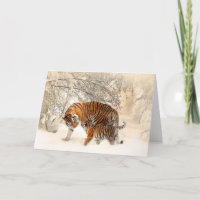 Winter Tigers custom wenskaart