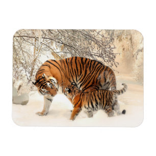 Winter Tigers magnet Magneet