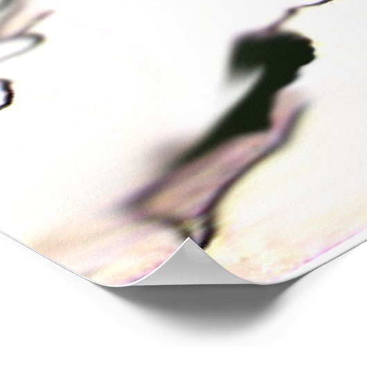 WINTER-TORTELDUIFJES in SNEEUW Black White Poster (Hoek)