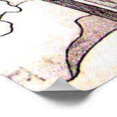 WINTER-TORTELDUIFJES in SNEEUW Black White Poster (Hoek)