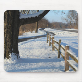 Winter Trail & Fence natuur foto Muismat