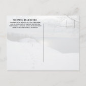 Winter Trail Lake Michigan, SLeeping Beer Dunes Briefkaart (Achterkant)