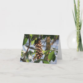 Winter Trail Pine Cone Note Kaart