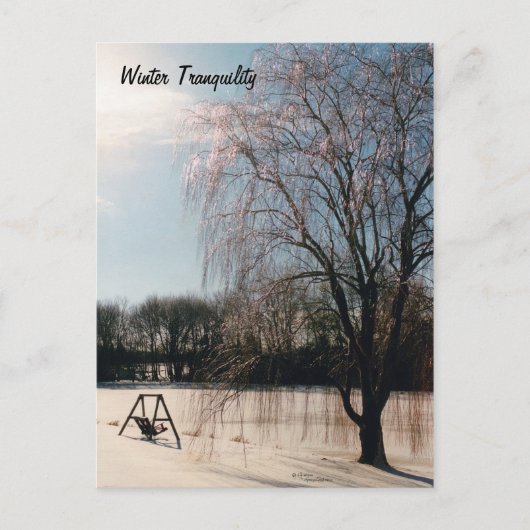 Winter Tranquility Briefkaart (Voorkant)