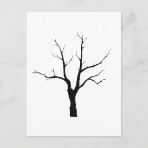 Winter Tree Black and White Set Briefkaart