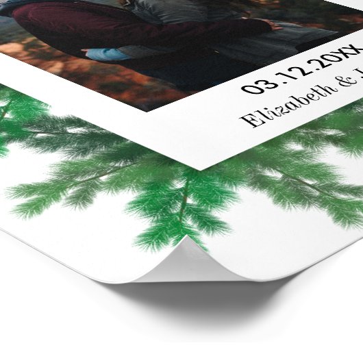 Winter Tree Branches Poster (Hoek)