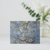 Winter Tree Canopy Briefkaart (Staand voorkant)