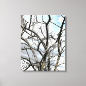 WINTER TREE CANVAS AFDRUK (Voorkant)