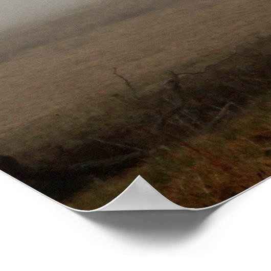 Winter Tree Foggy Meadow Poster (Hoek)