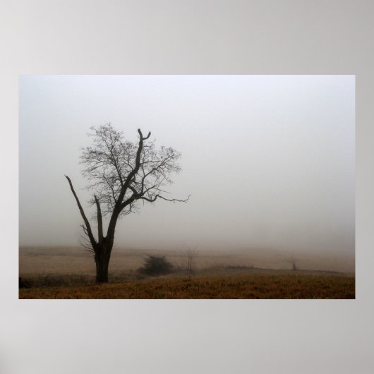 Winter Tree Foggy Meadow Poster (Voorkant)