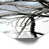 WINTER TREE FOTO AFDRUK (Hoek)