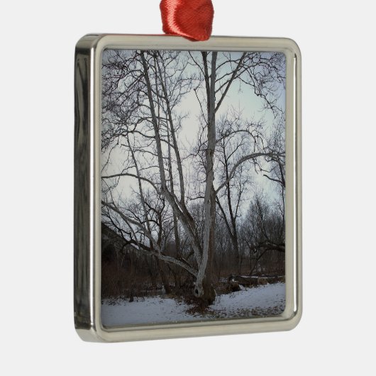 Winter Tree in Snow Ornament (Rechts)