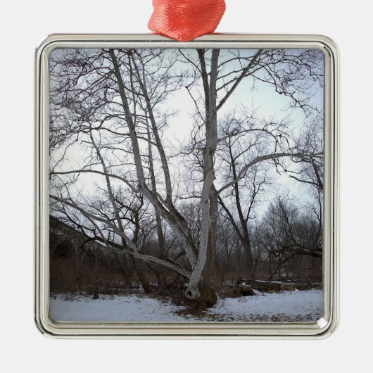 Winter Tree in Snow Ornament (Voorkant)
