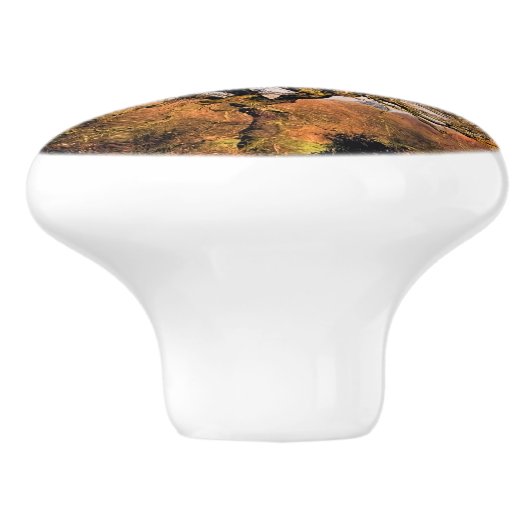 WINTER TREE KERAMISCHE KNOP (Zijkant)