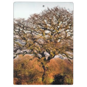 WINTER TREE KLEMBORD (Achterkant)