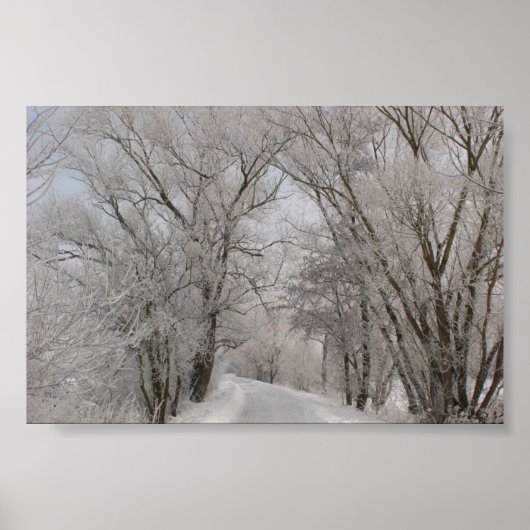 Winter Tree Lined Street Poster (Voorkant)