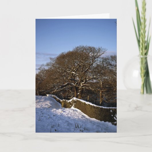Winter Tree Lyme Handley Cheshire Feestdagen Kaart (Voorkant)