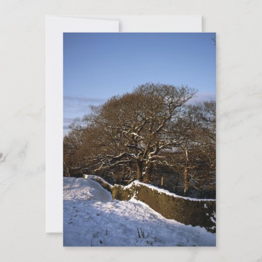 Winter Tree Lyme Handley Cheshire Holiday Card Feestdagenkaart (Voorkant)