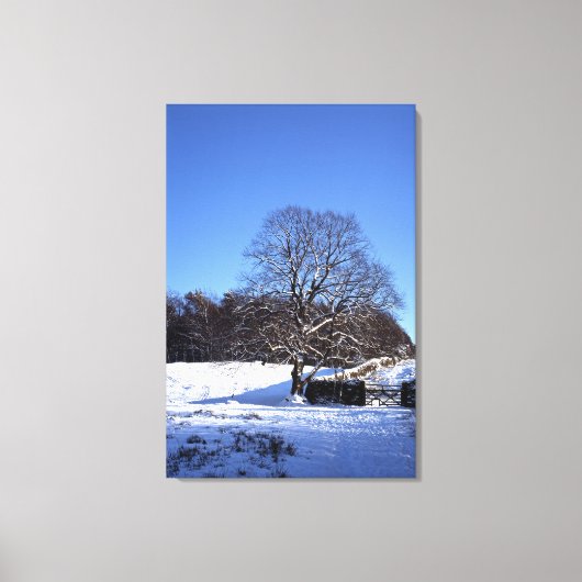 Winter Tree Lyme Park Holiday Card Canvas Afdruk (Voorkant)