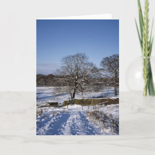Winter Tree Lyme Park Holiday Card Feestdagen Kaart
