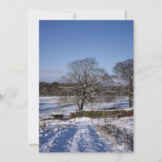 Winter Tree Lyme Park Holiday Card Feestdagenkaart (Voorkant)
