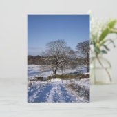Winter Tree Lyme Park Holiday Card Feestdagenkaart (Staand voorkant)