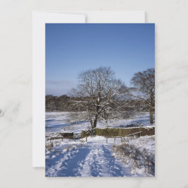 Winter Tree Lyme Park Holiday Card Feestdagenkaart