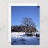 Winter Tree Lyme Park Holiday Card Feestdagenkaart (Voorkant / Achterkant)