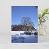 Winter Tree Lyme Park Holiday Card Feestdagenkaart (Staand voorkant)