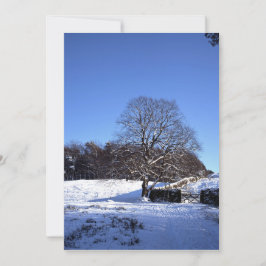 Winter Tree Lyme Park Holiday Card Feestdagenkaart