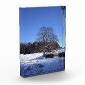 Winter Tree Lyme Park Holiday Card Poster Fotoblokken (Links)