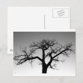 Winter Tree Silhouette Briefkaart (Voorkant / Achterkant)