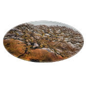 WINTER TREE SNIJPLANK (Hoek)