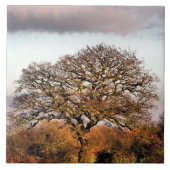 WINTER TREE TEGELTJE (Voorkant)