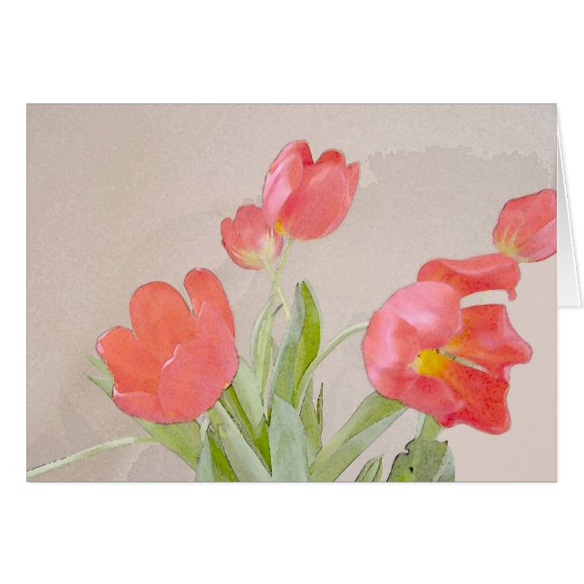Winter Tulip (Voorkant Horizontaal)