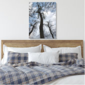 Winter Tulip Poplar Trees Cloudy Blue Sky Canvas Afdruk (Insitu (Slaapkamer))