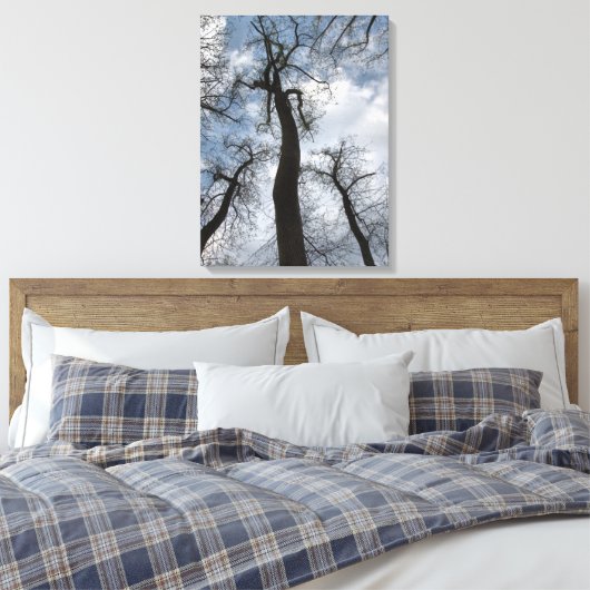 Winter Tulip Poplar Trees Cloudy Blue Sky Canvas Afdruk (Insitu (Slaapkamer))