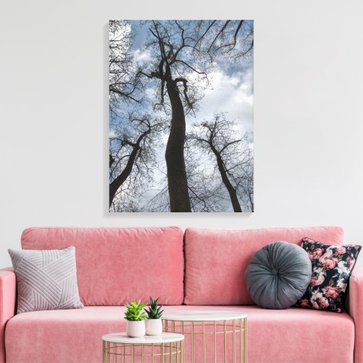 Winter Tulip Poplar Trees Cloudy Blue Sky Canvas Afdruk (Insitu (Woonkamer))