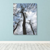 Winter Tulip Poplar Trees Cloudy Blue Sky Canvas Afdruk (Insitu (Houten vloer))