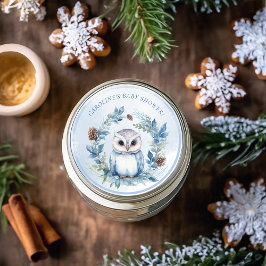 Winter Uil Waterverf Baby shower Ronde Sticker