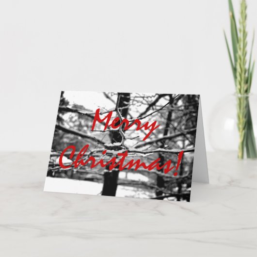 Winter v.3 [kerstkaart] feestdagen kaart (Voorkant)