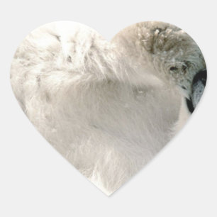 Winter van de Welp van de Ijsbeer de Leuke Hart Sticker