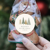 Winter verjaardagsfeestje ronde sticker